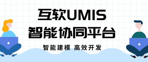 上海互联网软件集团 高端协同管理软件产品和咨询服务提供商