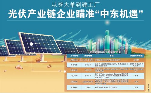 从签大单到建工厂 光伏产业链企业瞄准 中东机遇