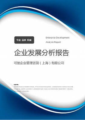 公司企业管理咨询报告